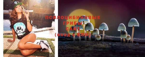 спиды Армянск