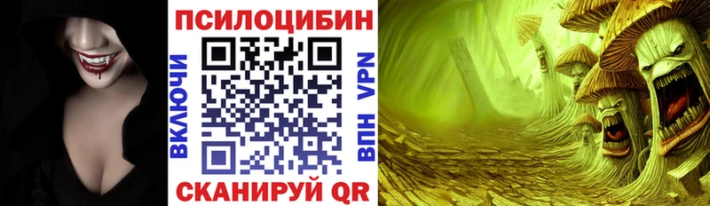 Псилоцибиновые грибы ЛСД  площадка официальный сайт  Салехард 