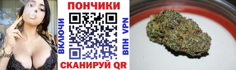 наркота  блэк спрут зеркало  Бошки марихуана индика  Салехард 